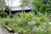 Green Cottage Garden ガーデンマップ