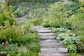 Green Cottage Garden ガーデンマップ