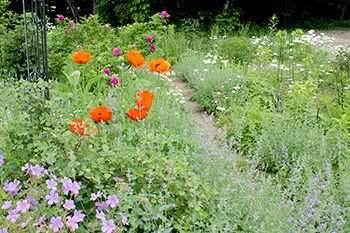 Green Cottage Garden ガーデンマップ